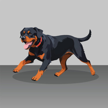 Powerful Black and Tan Rottweiler Dog Running Fast Vector Illustration Flat Design Purebred Guard Canine Mascot Isolated Graphic Element for Logo Sports Banner Poster Print