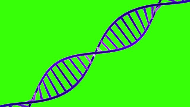 dna helix on Green Screen background