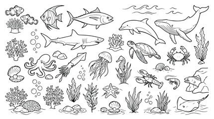 Fototapeta premium Hand drawn sea creatures collection, underwater marine life line art vector set, black and white ocean animal illustrations for coloring book
