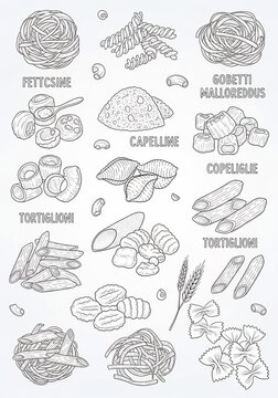 Pasta Palette: An Artisanal Array