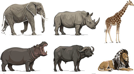 African safari wild animals vector illustration set featuring elephant rhinoceros giraffe yawning hippopotamus cape buffalo and male lion with mane © MdMahfizur