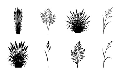 Obraz premium Black and White Grass Silhouettes, Vector Set of Wild Plants, Botanical Illustrations for Nature Designs, Meadow Elements