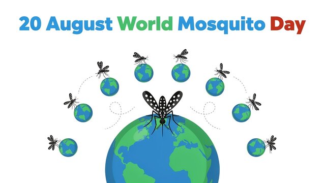 20 august world mosquito day awareness graphic with globe and insect icons mosquito awareness prevention