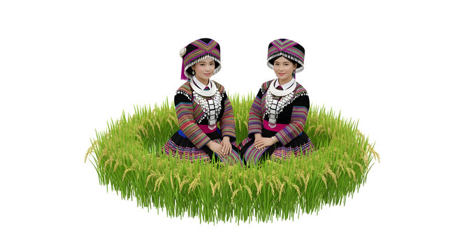 Two young women in traditional colorful ethnic Hmong clothing and headdresses, sitting in a field of golden rice stalks.