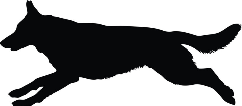 Black silhouette of a wolf howling at the full moon in night sky