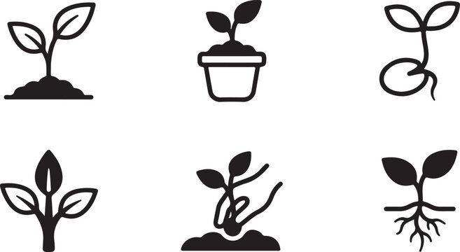 Six stages of seed sprouting and plant growth icons Vector