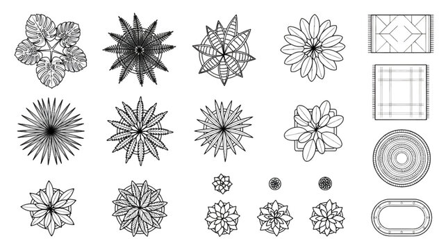 Vector Top View Architectural Floor Plan Symbols Featuring Potted Plants and Rugs Black and White Line Art