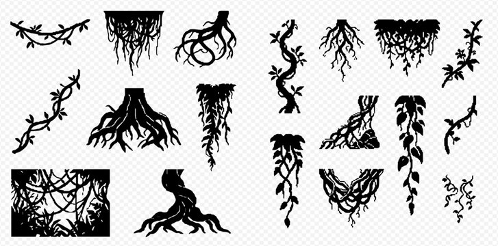 Set of black silhouettes of tree roots and lianas, jungle vines, and branches on a transparent background.
