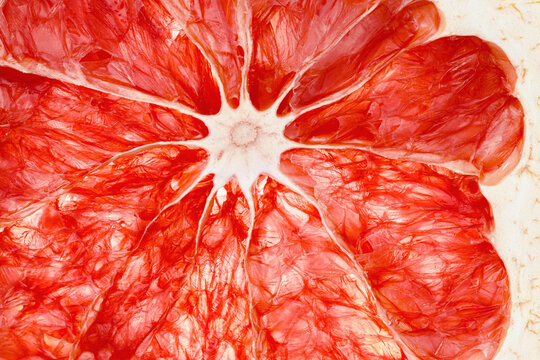 Closeup macro of grapefruit flesh, texture of dried sliced, red gradient monochrome background. Citrus fruit juicy flesh structure. Summer aesthetic food photo with natural texture at backlight.