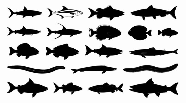 Fish Silhouettes Collection - Marine Life Vector Icons