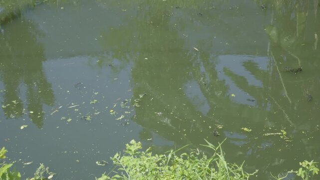Flowing Water Surface of Rural Canal, rural canal atmosphere in local Thai community, authentic Asian scenery.