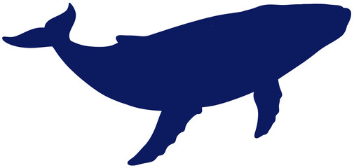 A silhouette image of a large and majestic humpback whale, a marine mammal © SasubuArt