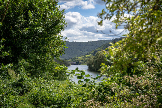 an der Mosel entdeckten wir dieses stille Fenster zur Landschaft. Der Fluss glitzerte zwischen sattem Gr&uuml;n, die H&uuml;gel schienen sich sch&uuml;tzend um das Tal zu legen und f&uuml;r einen Moment war alles ganz ru