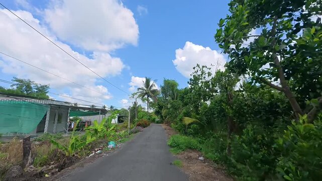 POV Ride Along Quiet Tropical Village Road with Jackfruit Trees and Coconut Palms in Cai Lay Mekong Delta Vietnam
