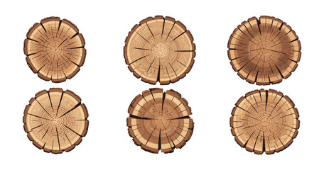 Set of wood logs. cross section of tree trunk. vector illustration on transparent background. © Farik