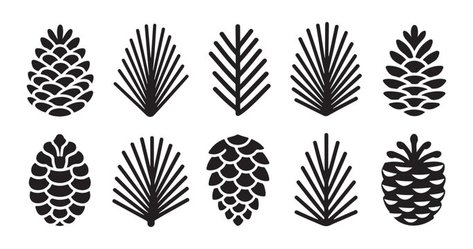 Collection of pine cones and needle leaves silhouette icons for forest and woodland nature design sets.