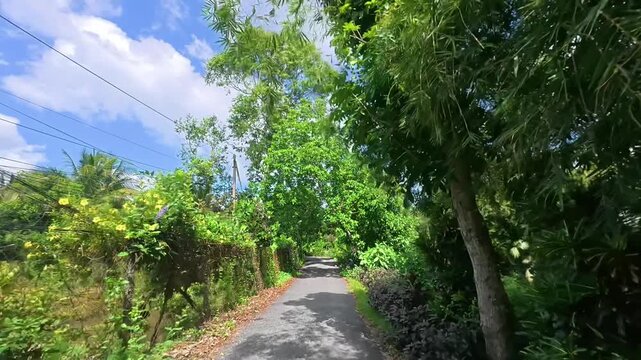 POV Ride Through Quiet Tropical Village Roads and Lush Countryside in Cai Lay, Mekong Delta, Vietnam