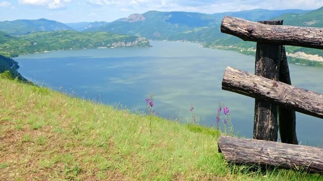 Verbascum phoeniceum L. sways in the wind beside a wooden fence overlooking the Danube River in Djerdap National Park, where the Carpathians and Stara Planina meet.
