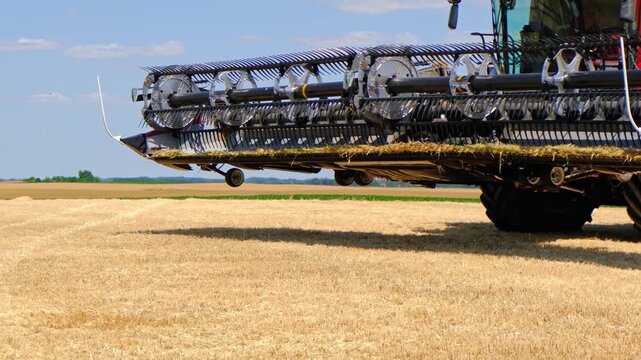 A combine harvester stands in a golden wheat field under a clear blue sky. The machine is large and modern, with a prominent cutting header.