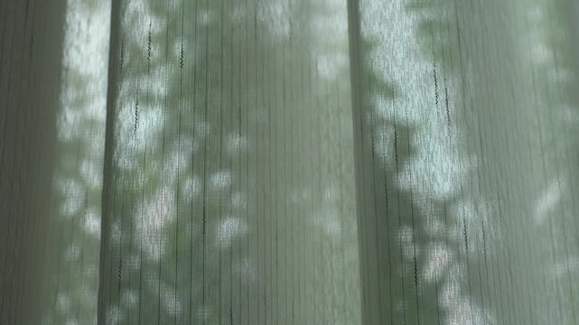 Sheer curtains of the window flutter gently with soft light and natural bokeh outside.