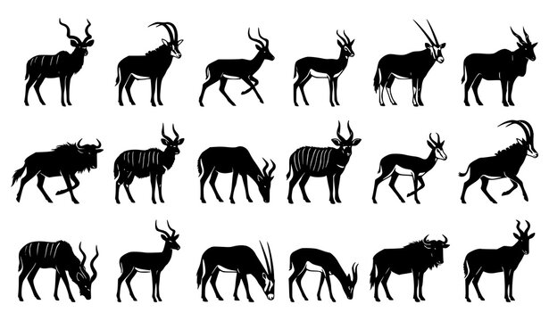 Premium African Antelope Silhouette Pack with Safari Wildlife and Exotic Herbivore Vector Collection