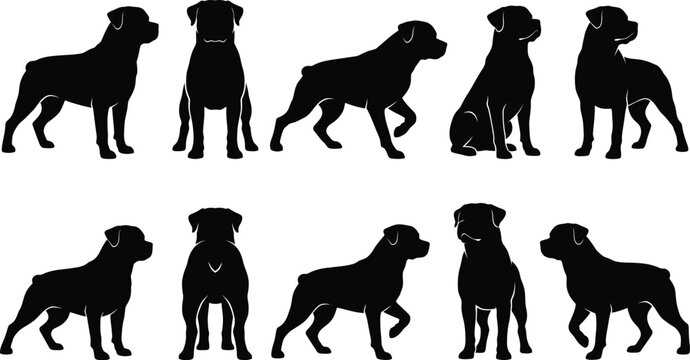 Rottweiler dogs in various poses, set of black silhouettes.