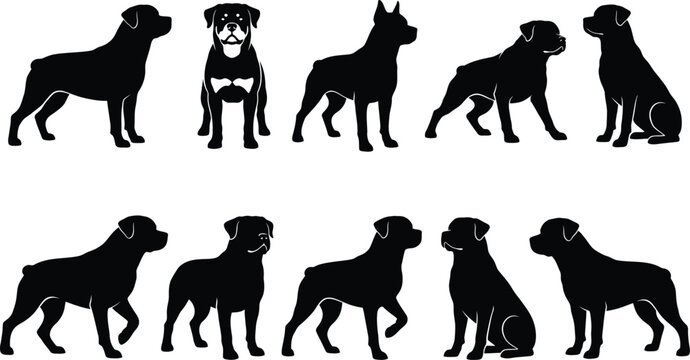 Set of rottweiler dog silhouettes in various poses isolated on transparent background.