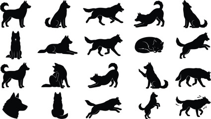 Siberian husky silhouettes in various poses and actions collection. © jim's Cafe