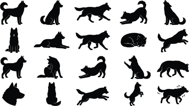 Siberian husky silhouettes in various poses and actions collection.