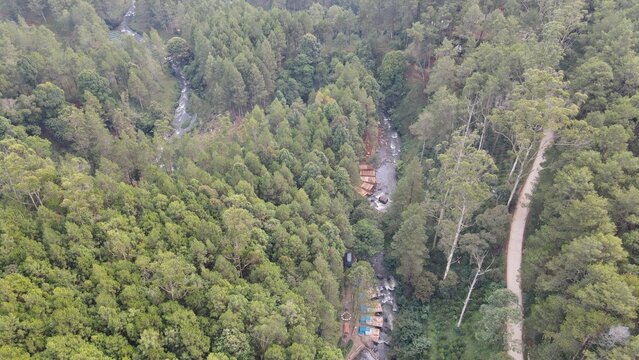 Aerial view of Hutan Pinus Rahong with a river flowing through a dense pine forest and a dirt path alongside in Pangalengan, West Java, Indonesia.
