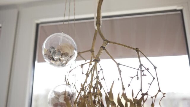 A close-up view of handmade interior decor elements, showcasing small glass globes filled with seashells and pebbles, hanging next to dried plants with a window background.