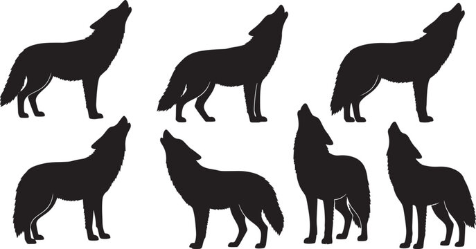 Silhouette set of howling wolves or coyotes standing in various poses with detailed wild animal profile shapes.