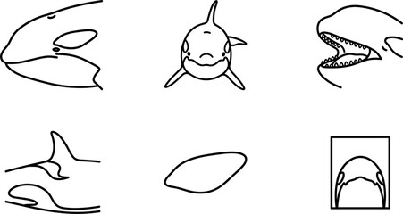 Minimalist Orca and Shark Line Art Icon Bundle Featuring Killer Whale Anatomy Details for Unique Creative Vector Graphics © MdImran