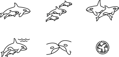 Minimalist Orca Family Line Art Vector Set Featuring Mother and Baby Killer Whales Pod Group Formations and Circular Ocean Wildlife Logo Elements © MdImran