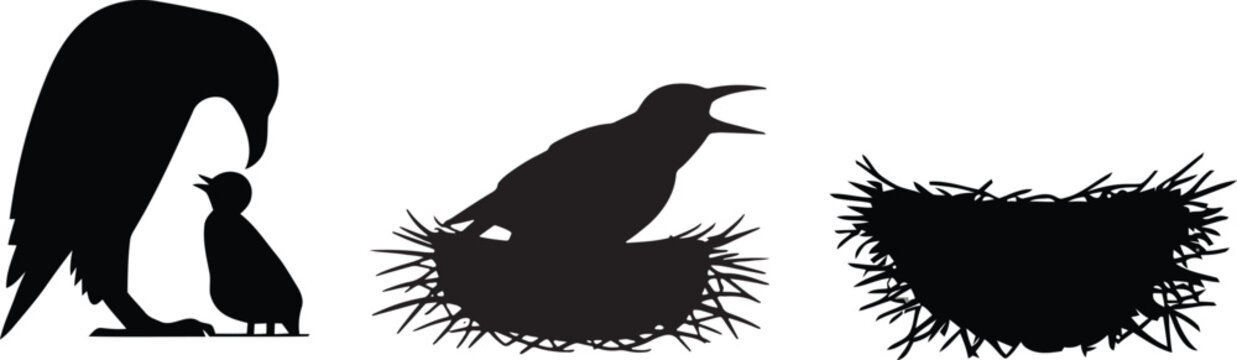 Bird silhouettes featuring parent and chick interaction with nesting behaviors and empty nest and baby watching, and life cycle and animal behavior