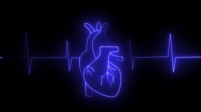 Neon human heart anatomy with ekg pulse line animation for medical science and healthcare technology concepts