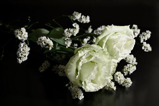 Flowers against a black background 11