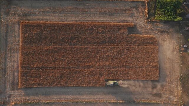 A vertical drone view of a combine harvester harvesting a ripe wheat field, leaving a trail of dust and neatly defined harvested sections.