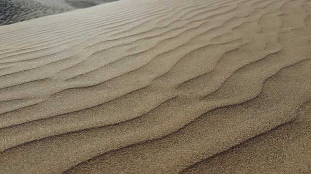 Rolling desert sand dunes with natural wind patterns and soft shadows. Move camera