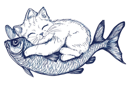 Adorable Kitten Sleeping Peacefully on a Large Fish.