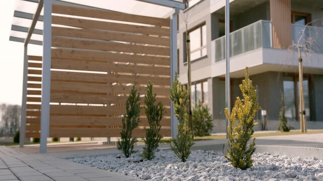 Modern residential building courtyard with small conifer trees and wooden architecture.
