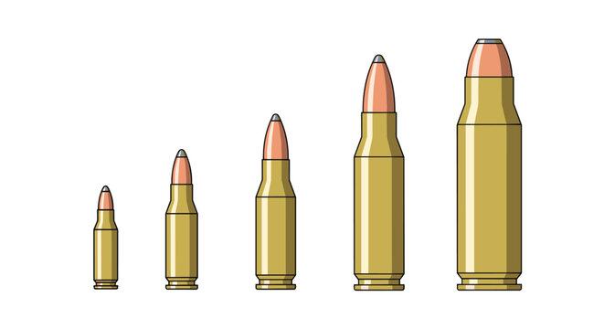 Selection of various rifle and handgun bullets in different sizes and calibers arranged in a row from small to large.