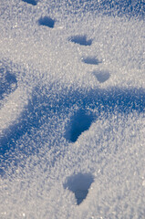 Fototapeta premium Beautiful white snow frost crystals structure close up, snow 