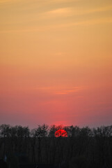 Fototapeta premium sunset in the forest