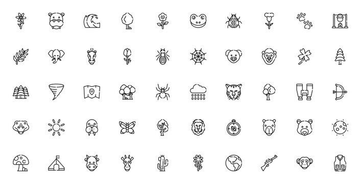 Wildlife icon set. Nature icon pack. Minimal wildlife icons. Featuring flower, tree, frog, elephant, hippopotamus, tiger, lion, bear, butterfly, mushroom, sun, moon and more. Editable vector stroke.