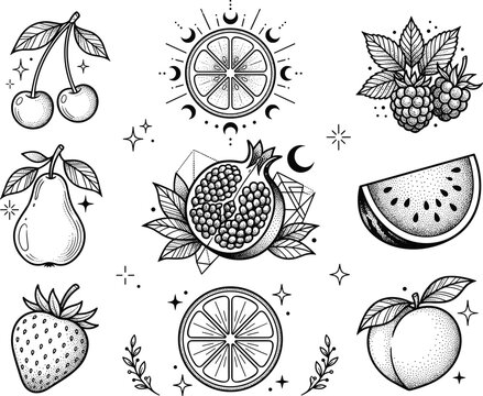 Mystical Botanical Fruit Engraving Collection with Vintage Cherry, Pear, Citrus, Pomegranate, Berry, and Watermelon Illustrations for Boho Nature Vector Design