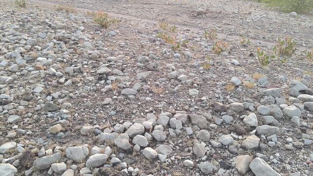 Rocky Ground Terrain Nature Video Thumbnail