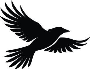 Fototapeta premium Silhouette of a bird in flight with outstretched wings on white background