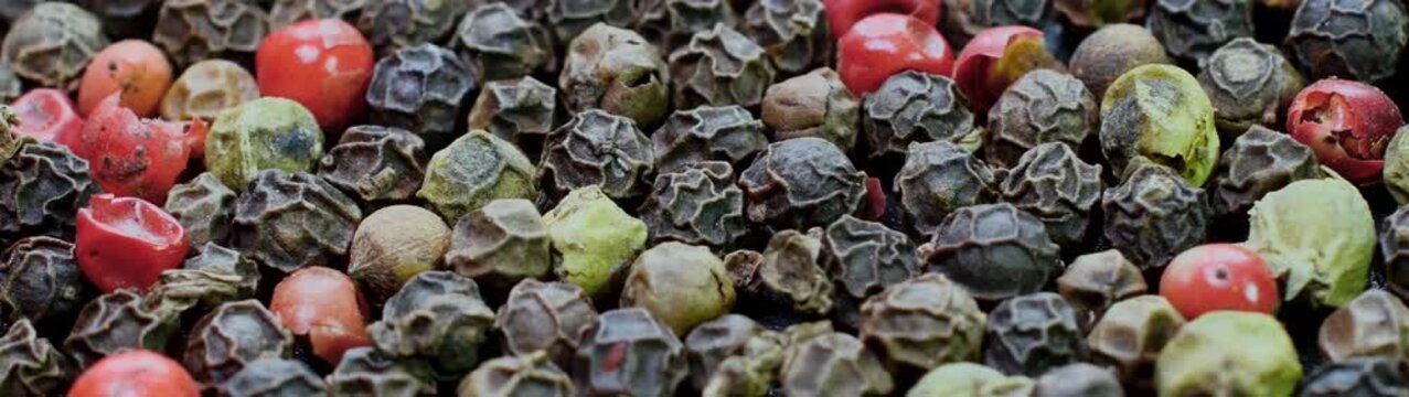 Whole black green and pink peppercorns close up showing spices used for cooking worldwide Flavoring food.