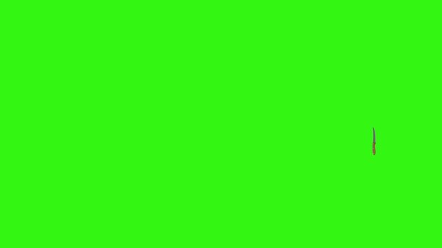 Collage of kitchen utensils falling against a vibrant green background